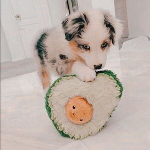 Meet your Posher, Abby